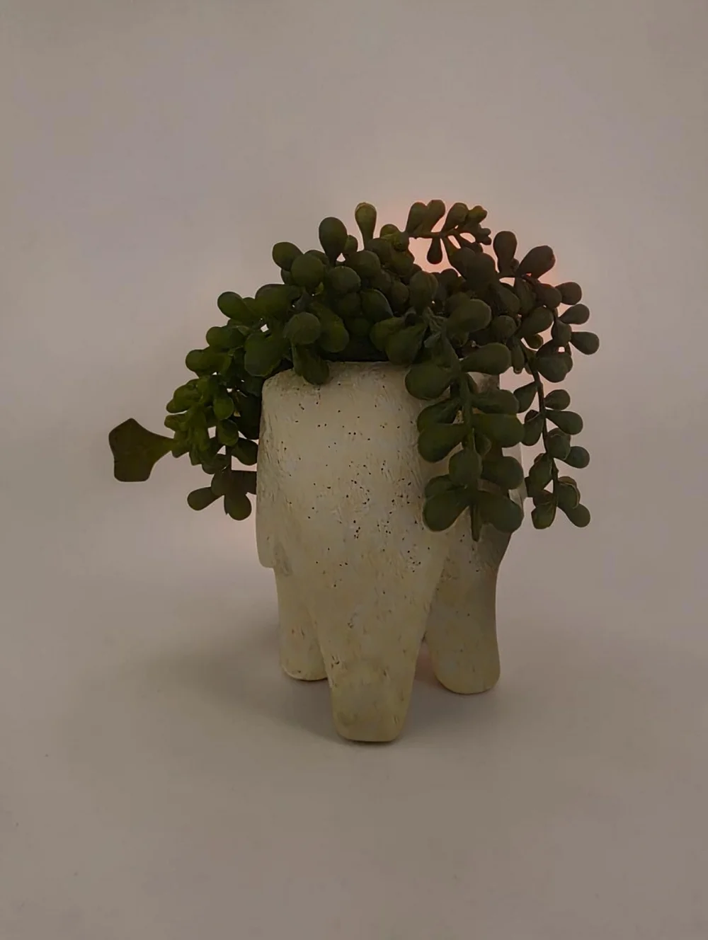 NWT 4 AVAILABLE White Elephant Planter with Green Faux Succulent.